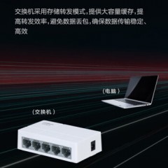 大华 DH-S1000C-5ET-L 5口百兆交换机网络监控交换器企业家用